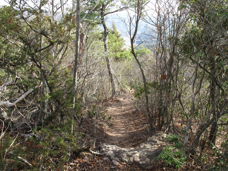 20140103hike (228)